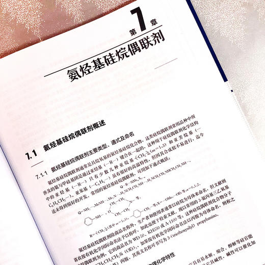 有机硅偶联剂——原理、合成与应用 商品图5