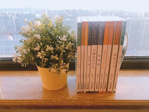 《儿童文学新潮丛书长篇童话卷》全10册 5-12岁儿童童话故事 商品图10