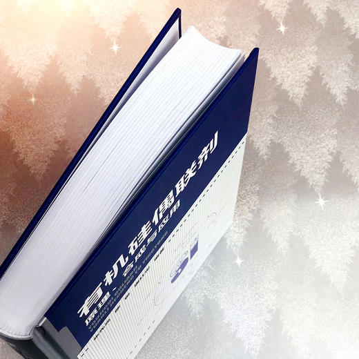 有机硅偶联剂——原理、合成与应用 商品图3