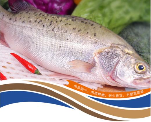 【广、佛、中、东莞-奥园物业业主专享】精选生鲜系列 鲈鱼2条 共重约900g 商品图1