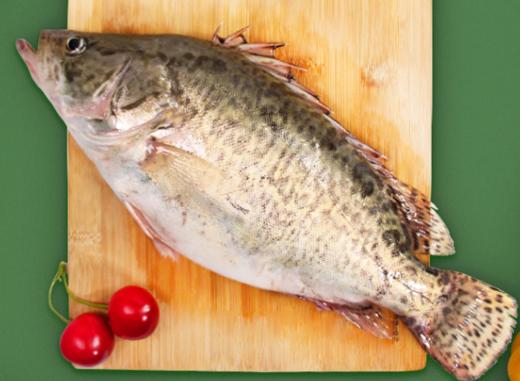 【广、佛、中、东莞-奥园物业业主专享】精选生鲜系列 桂鱼 约重750g/条 商品图0