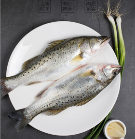 【广、佛、中、东莞-奥园物业业主专享】精选生鲜系列 鲈鱼2条 共重约900g