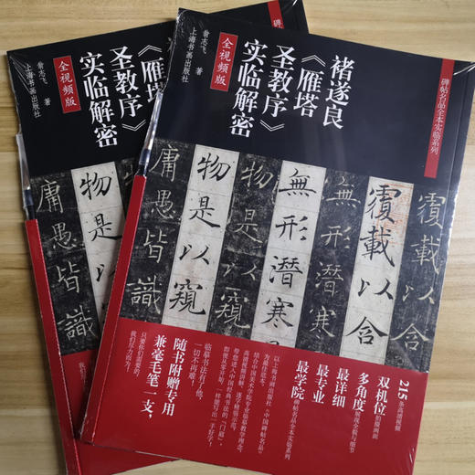 褚遂良《雁塔圣教序》实临解密 商品图1