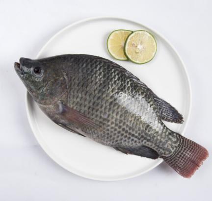 【广、佛、中、东莞-奥园物业业主专享】精选生鲜系列 罗非鱼约重900g/条 商品图3