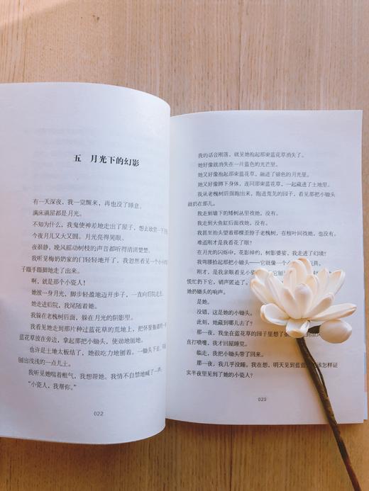 《儿童文学新潮丛书长篇童话卷》全10册 5-12岁儿童童话故事 商品图9