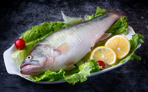 【广、佛、中、东莞-奥园物业业主专享】精选生鲜系列 罗非鱼约重900g/条 商品图2