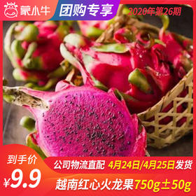 【团长】越南红心火龙果 750g±50g