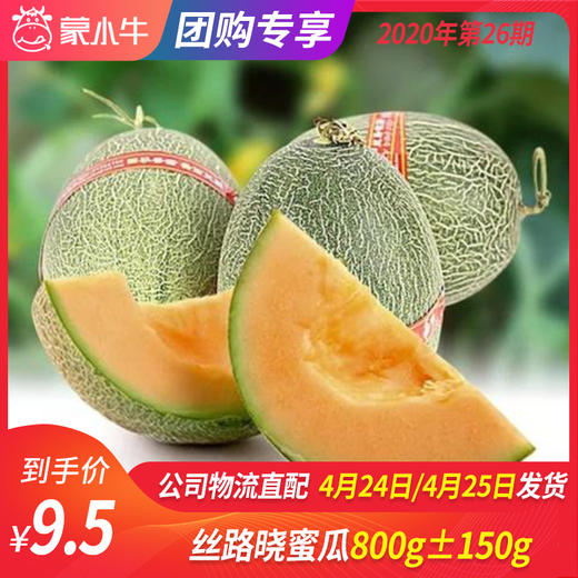 【团长】丝路晓蜜瓜 800g±150g 商品图0