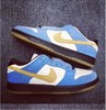 奢华高端磨砂牛皮 Nike sb Dunk Low x Slam City Pro  耶稣 304292-201 尺码39--45 商品缩略图7