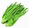 【广、佛、中、东莞-奥园物业业主专享】精选生鲜系列 油麦菜/份 约重400克g 商品缩略图2