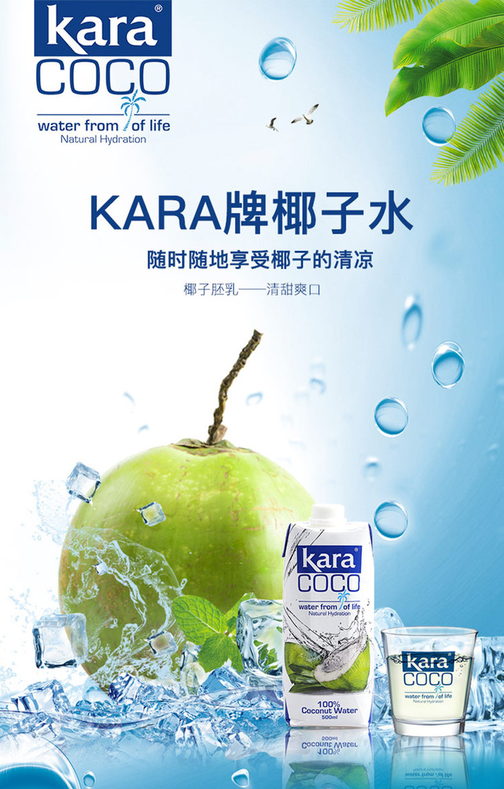 【会员11元/罐起】印尼进口karacoco佳乐椰子水