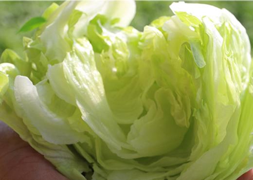 【广、佛、中、东莞-奥园物业业主专享】精选生鲜系列 西生菜/份 约重400克g 商品图2