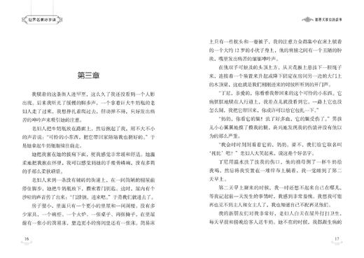 狐狸犬维克的故事 商品图3