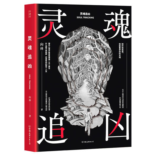 全2册灵魂追凶1+2 同名悬疑网剧火热筹拍中 国内心理学破案推理典范 《独白者》向林口碑力作 悬疑烧脑 心理悬疑小说书籍 商品图2