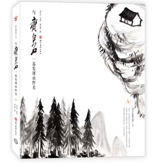 今日美术馆艺术丛书与齐白石发现系列套装(5本/套)原价340元现价255元#此商品参加第十一届北京惠民文化消费季 商品图2