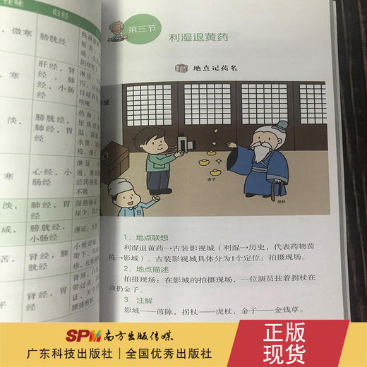 “最强大脑”速记中药学 商品图3