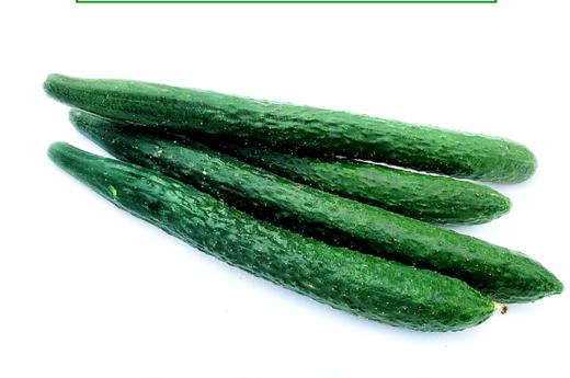 【广、佛、中、东莞-奥园业主专享】精选生鲜系列 青瓜/条 约重400g 商品图2