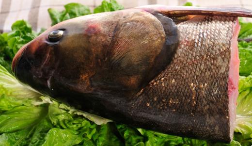 【广、佛、中、东莞-奥园物业业主专享】精选生鲜系列 大鱼头 约重2kg/个 商品图2