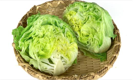 【广、佛、中、东莞-奥园物业业主专享】精选生鲜系列 西生菜/份 约重400克g 商品图1