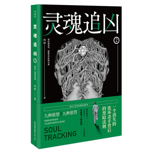 全2册灵魂追凶1+2 同名悬疑网剧火热筹拍中 国内心理学破案推理典范 《独白者》向林口碑力作 悬疑烧脑 心理悬疑小说书籍 商品图1