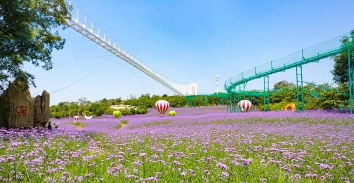 漫花庄园景区门票 游乐套票,14个游乐项目畅玩~春季赏花出游好去处!