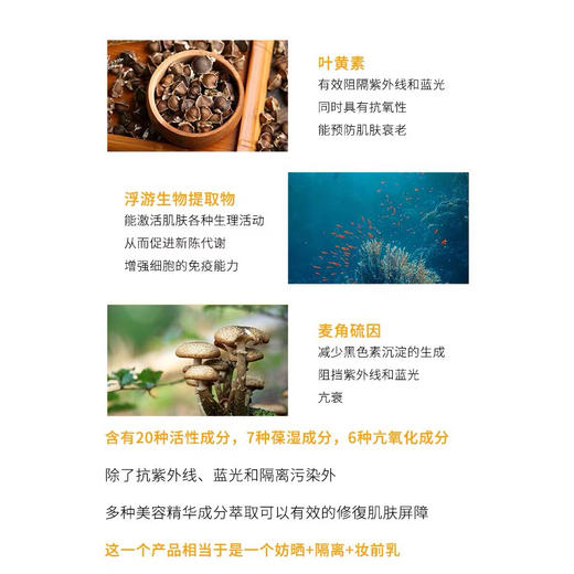 三重抗蓝光 成分控入 日本Ampleur阿芙乐尔防晒霜清爽不油腻30ml 商品图8