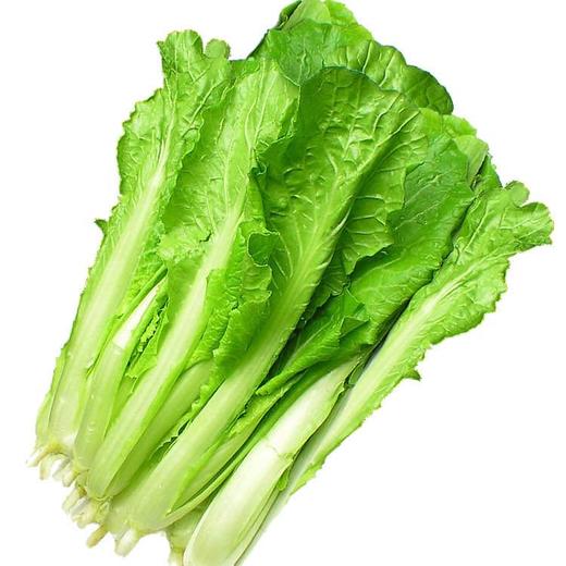 上庄店 小白菜约500g 商品图0