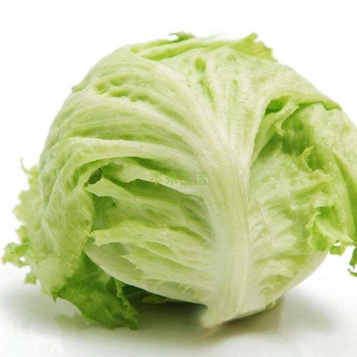 上庄店 圆生菜约500g/个 商品图1