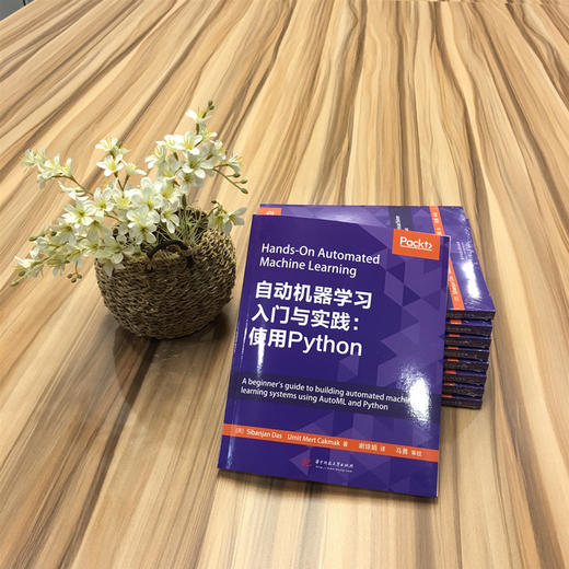 自动机器学习入门与实践：使用Python  9787568049528 华中科技大学出版社 商品图5