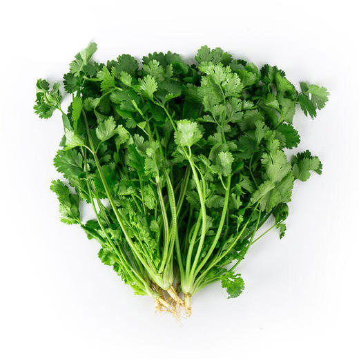 上庄店 香菜约100g 商品图0