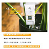 三重抗蓝光 成分控入 日本Ampleur阿芙乐尔防晒霜清爽不油腻30ml 商品缩略图5