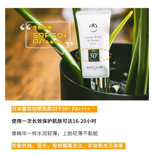 三重抗蓝光 成分控入 日本Ampleur阿芙乐尔防晒霜清爽不油腻30ml 商品图5