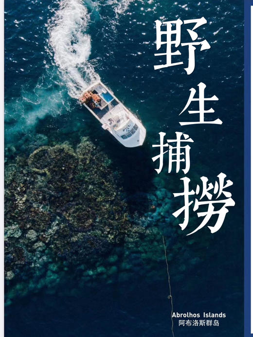 福州分店-[48小时发货]D级（1.48-1.7斤）澳洲红岩大龙虾  鲜活发货 商品图3
