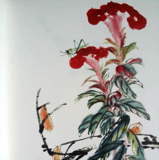 今日美术馆艺术丛书与大师一起画画:齐白石 原价98元现价74元#此商品参加第十一届北京惠民文化消费季 商品图4