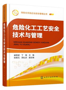 危险化学品企业安全管理丛书--危险化工工艺安全技术与管理