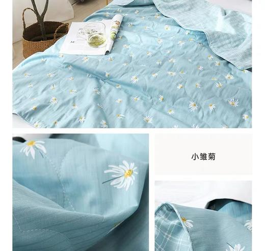 蚕丝绒可水洗纯桑蚕丝被 商品图1