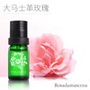 1F宝琪兰大马士革玫瑰 商品缩略图0