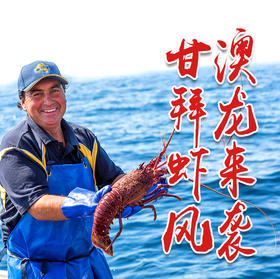 福州分店-[48小时发货]E级（1.7-1.94斤） 澳洲红岩大龙虾 鲜活发货