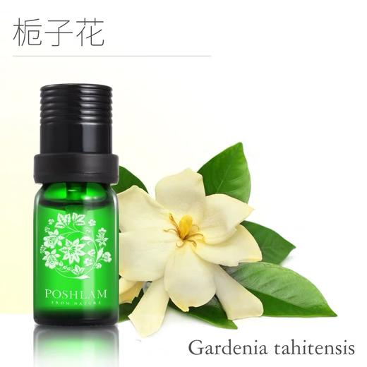 1F宝琪兰栀子花精油 商品图0