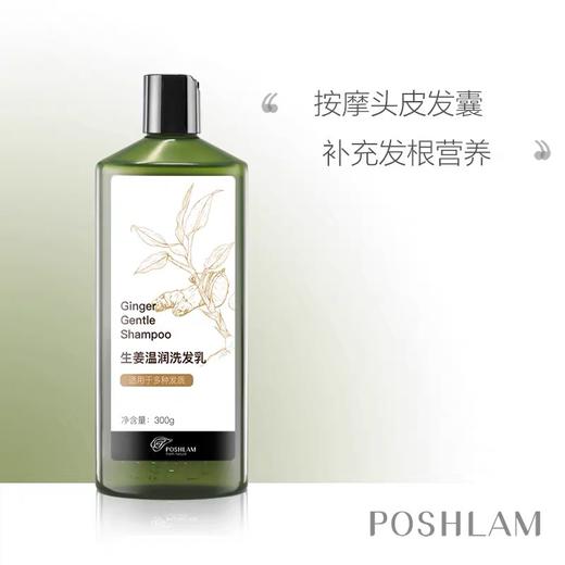 1F宝琪兰生姜洗发乳 商品图0
