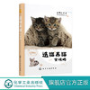 选猫养猫全攻略 商品缩略图0