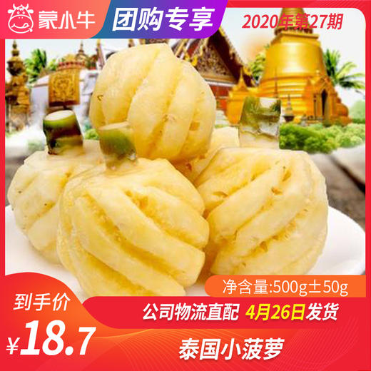 【团长】泰国小菠萝 500g±50g 商品图0