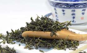 日照绿茶