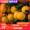 【团长】麻阳冰糖橙 1kg±150g 商品缩略图0