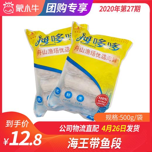 【团长】海王带鱼段 500g 商品图0