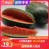 【团长】越南黑美人西瓜 2.5kg±200g 商品缩略图0
