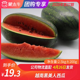 【团长】越南黑美人西瓜 2.5kg±200g