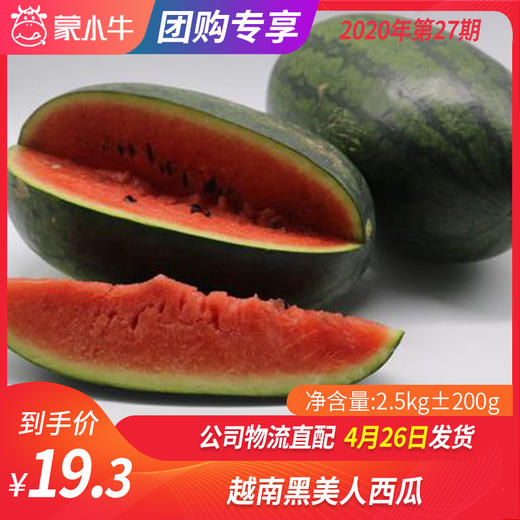 【团长】越南黑美人西瓜 2.5kg±200g 商品图0