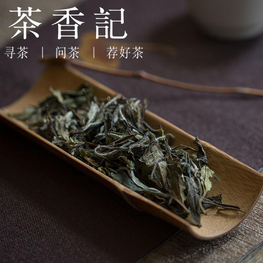 茶香记 张广泰榛果炭焙白牡丹 品质过硬 传统炭焙 花香蜜韵馥郁 宜品 商品图2