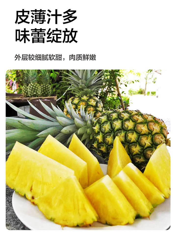 都乐进口凤梨(个)